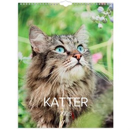 Kalender Stora Kattkalendern