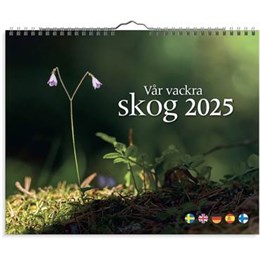 Väggkalender Vår vackra skog